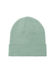 Mint street style beanie