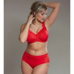 Elegant rød plussize blondetrusse med matchende bh, dekoreret med delikate blonder og lille dekorativ sløjfe.