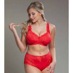 Stilfuld rød plussize blonde-BH med matchende trusser, designet til at give både støtte og komfort.