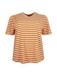 Stribet Ninette T-Shirt i plussize
